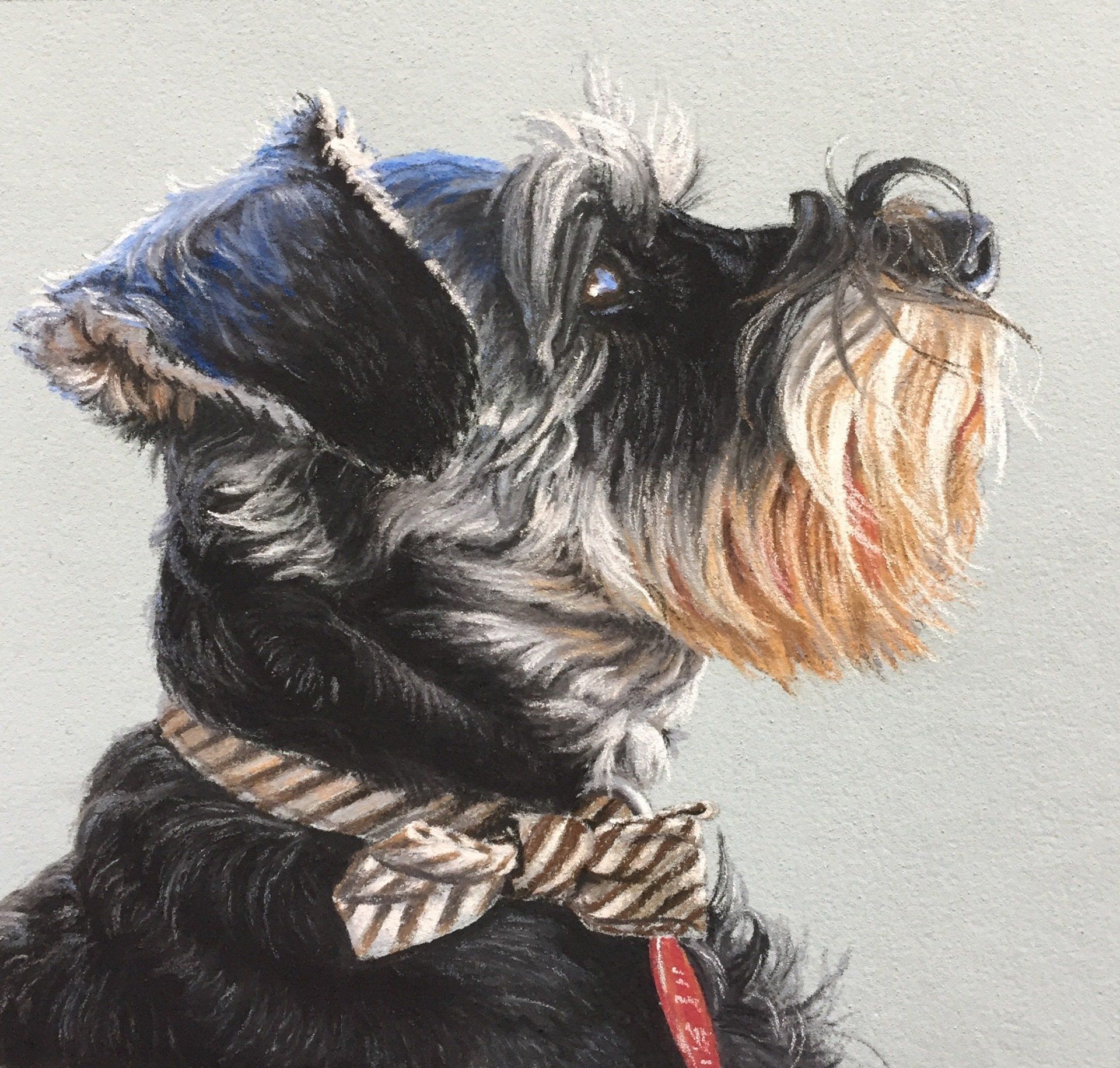 A painting of a schnauzer wearing a bow tie