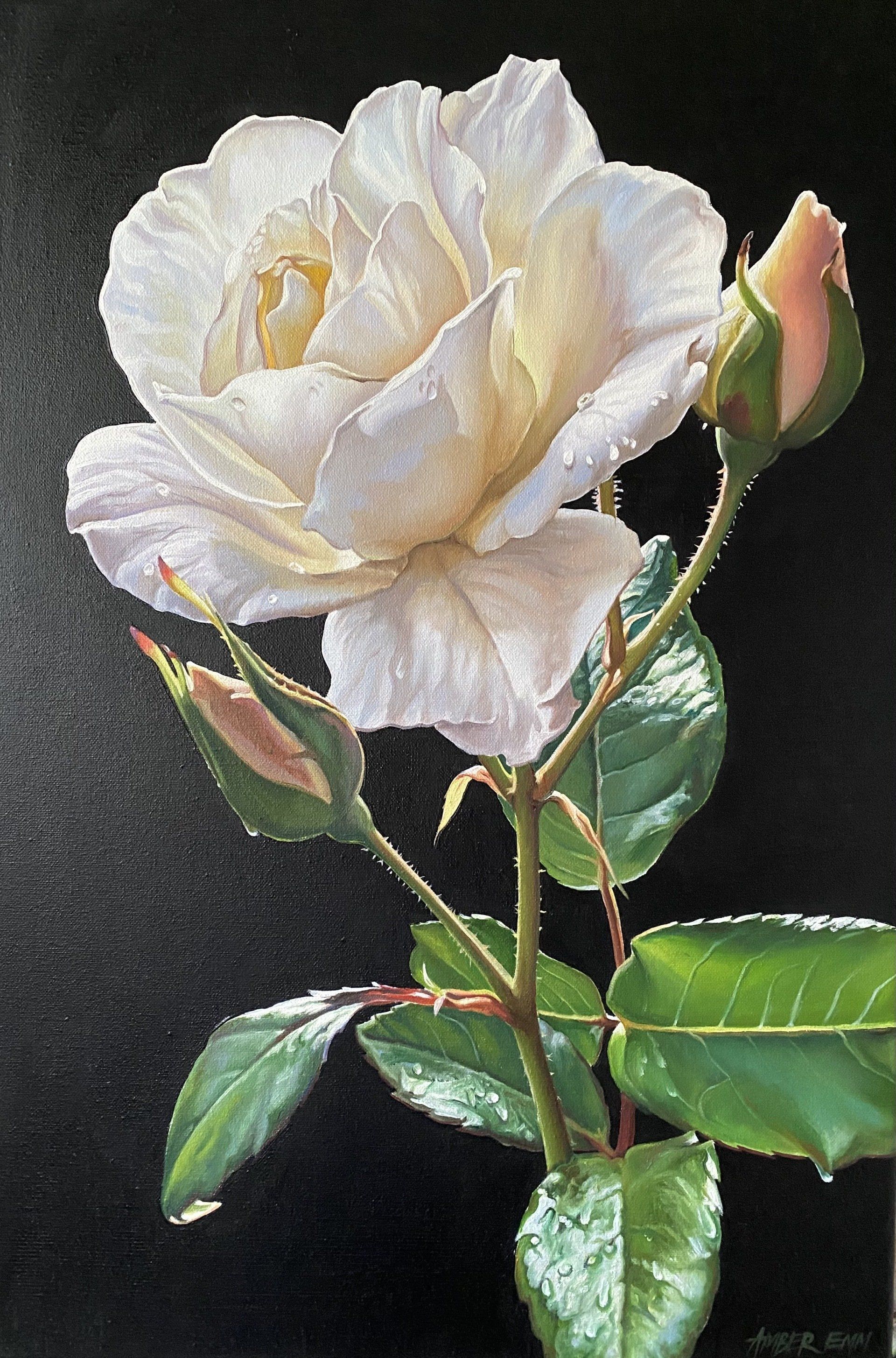 A painting of a white rose with green leaves on a black background