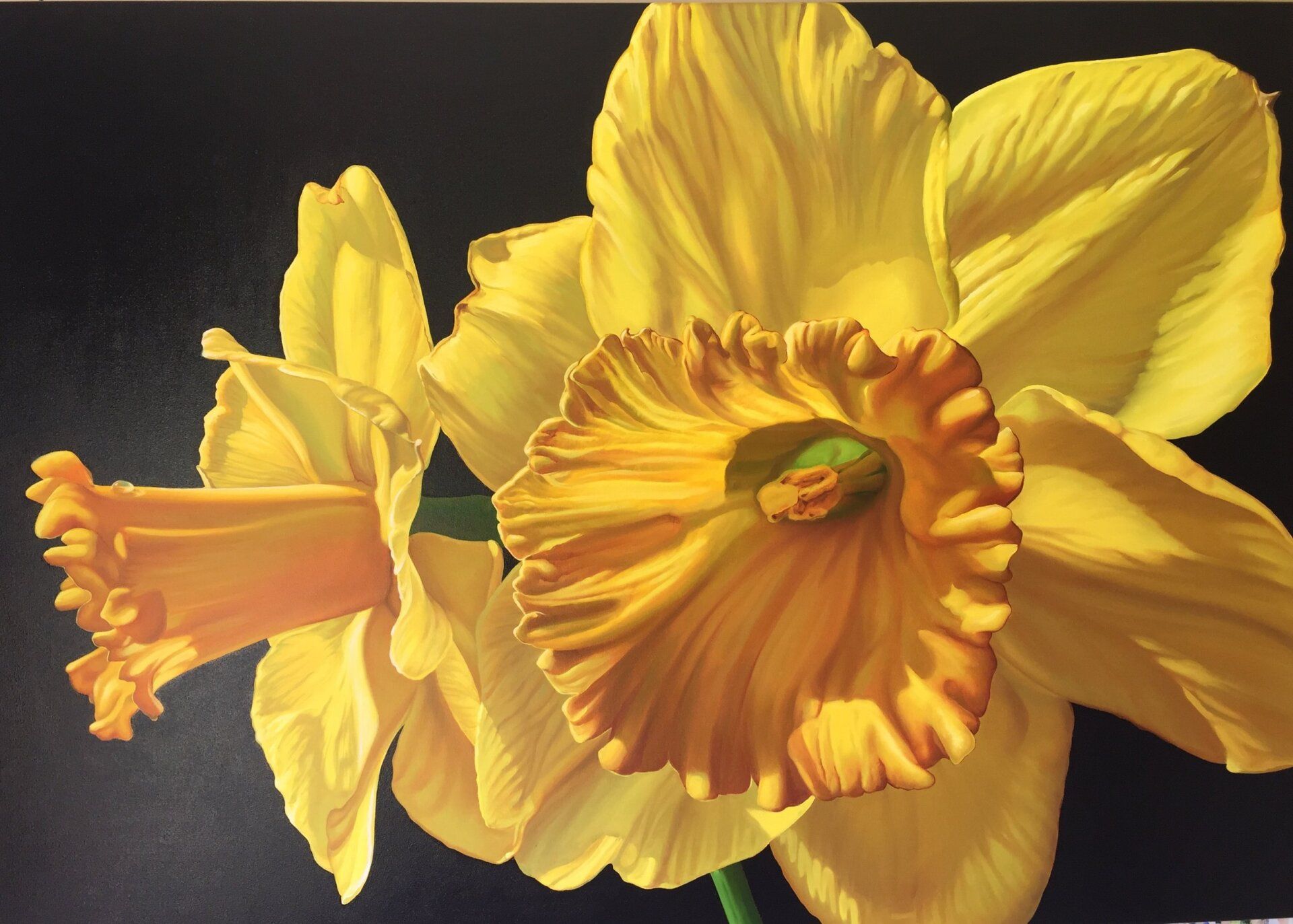 A painting of two yellow flowers on a black background