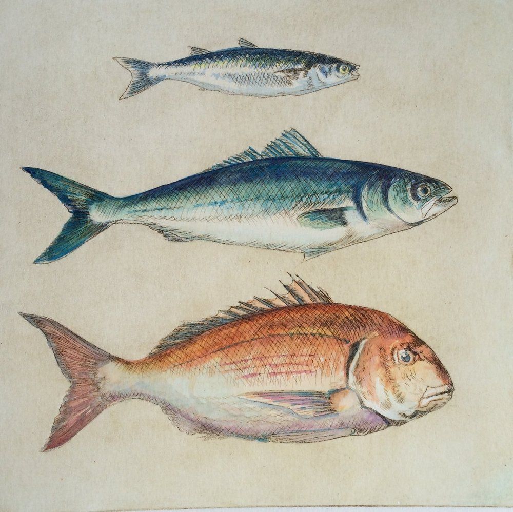 A painting of three fish on a white background