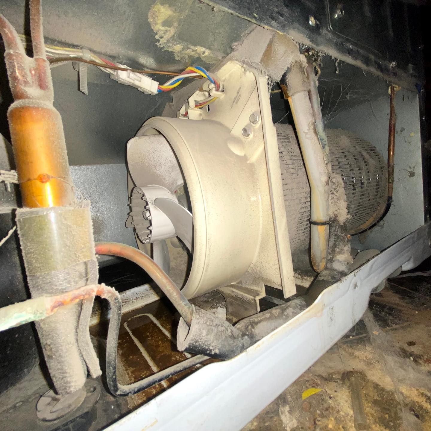 under the washing machine