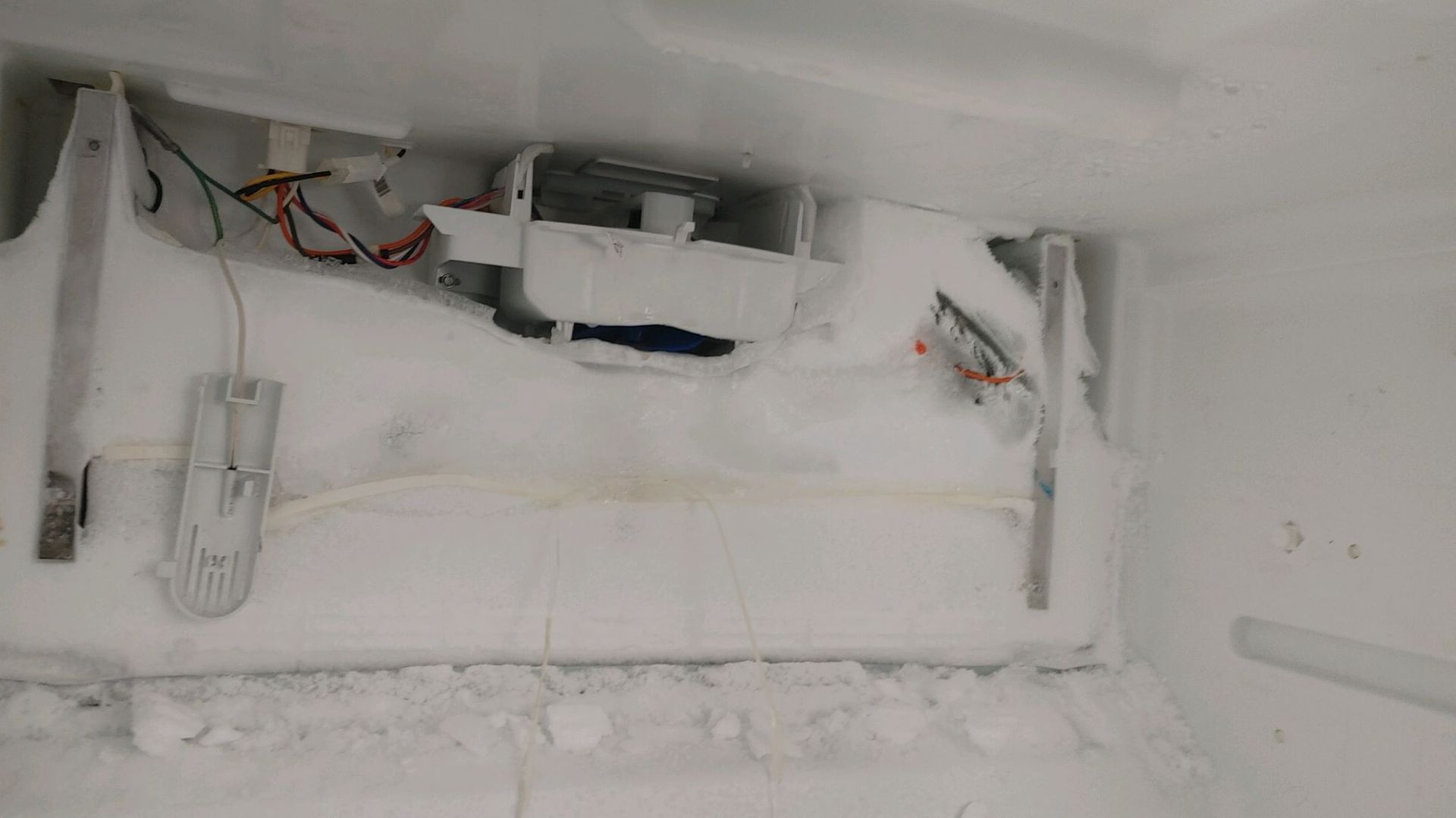 inside a freezer