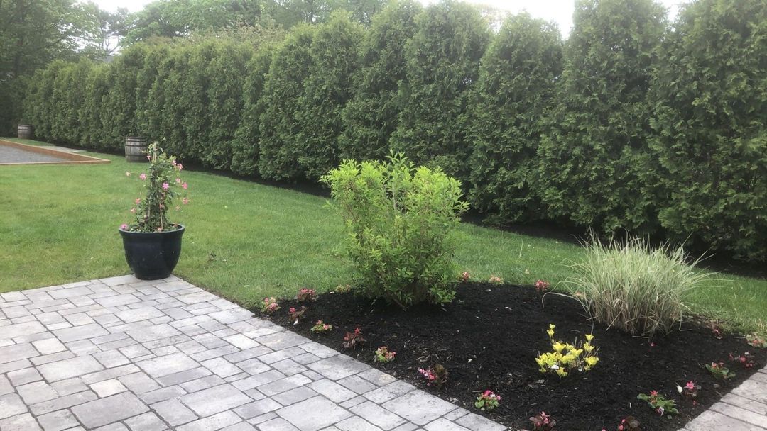 A brick walkway leading to a lush green lawn with trees in the background.