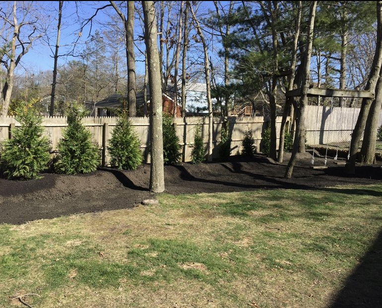 A backyard with a fence and trees in the background