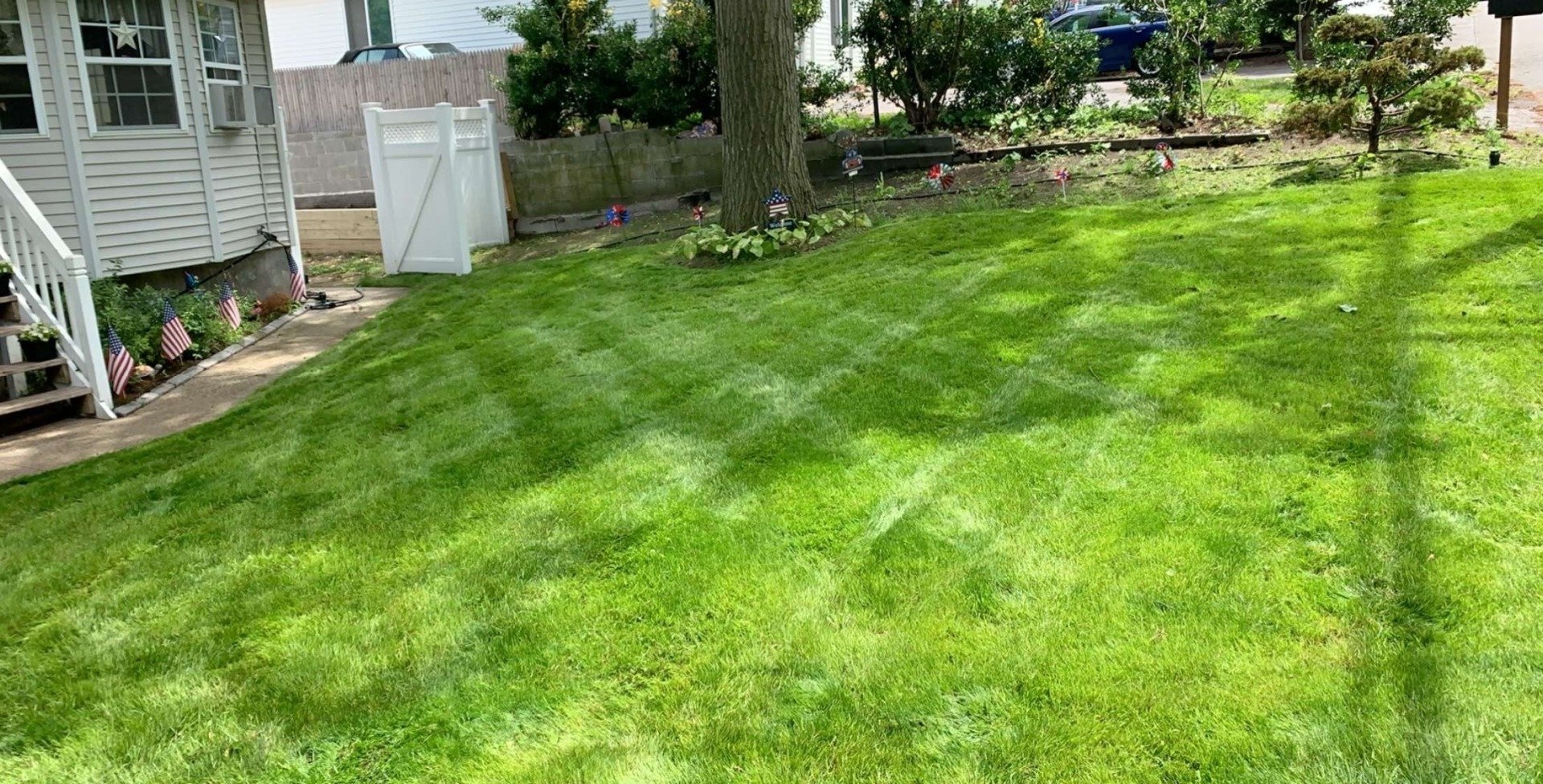 A lush green lawn in front of a house.