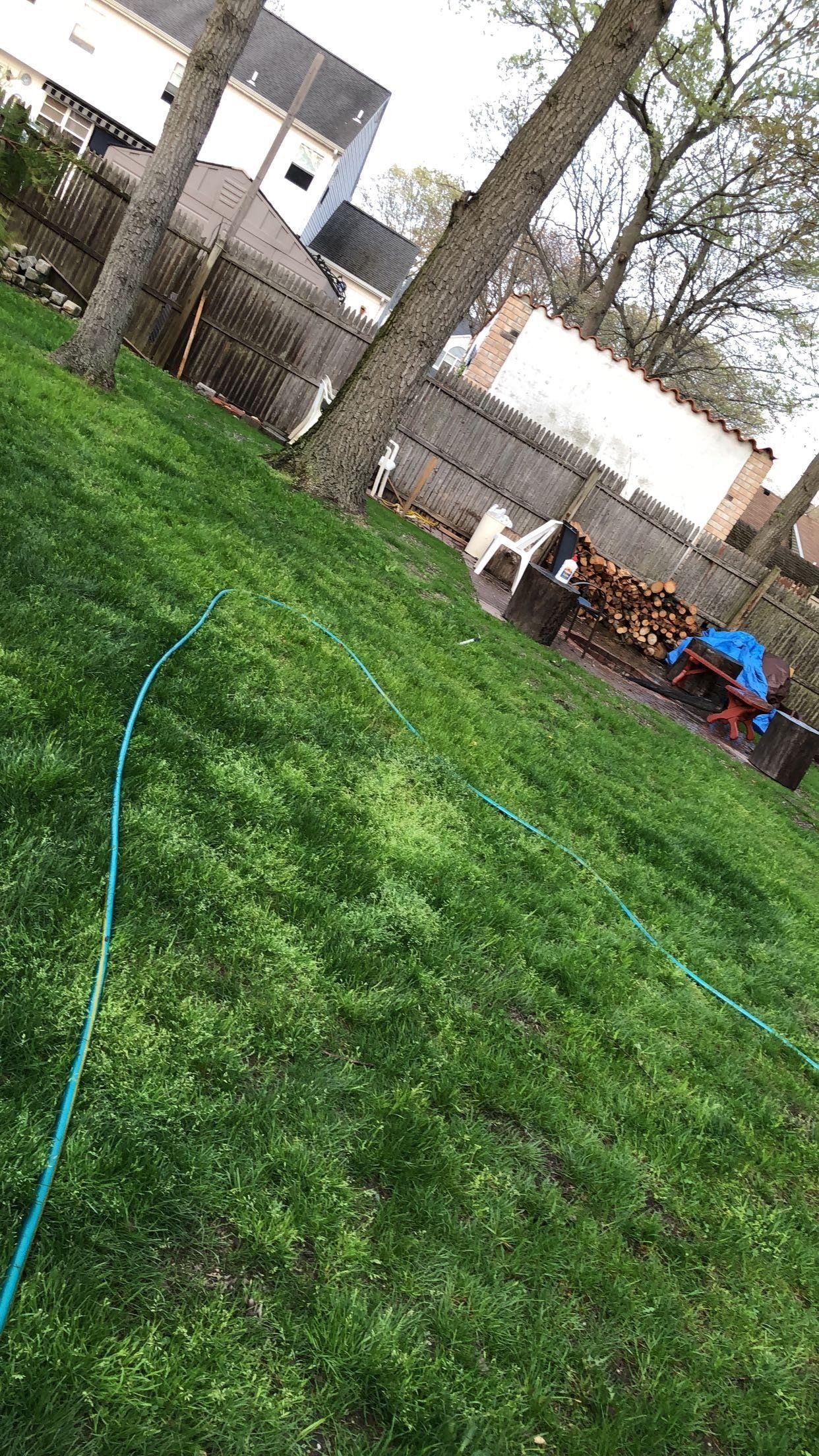 A hose is laying in the grass in a backyard.