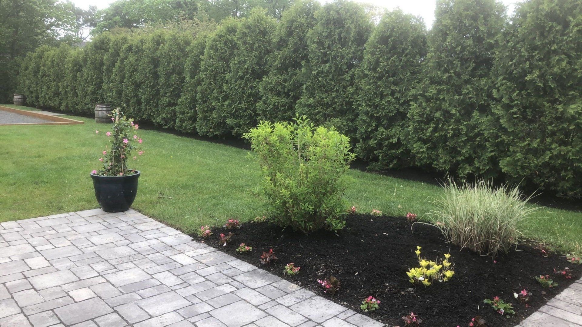 A brick walkway leading to a lush green yard with trees and bushes.