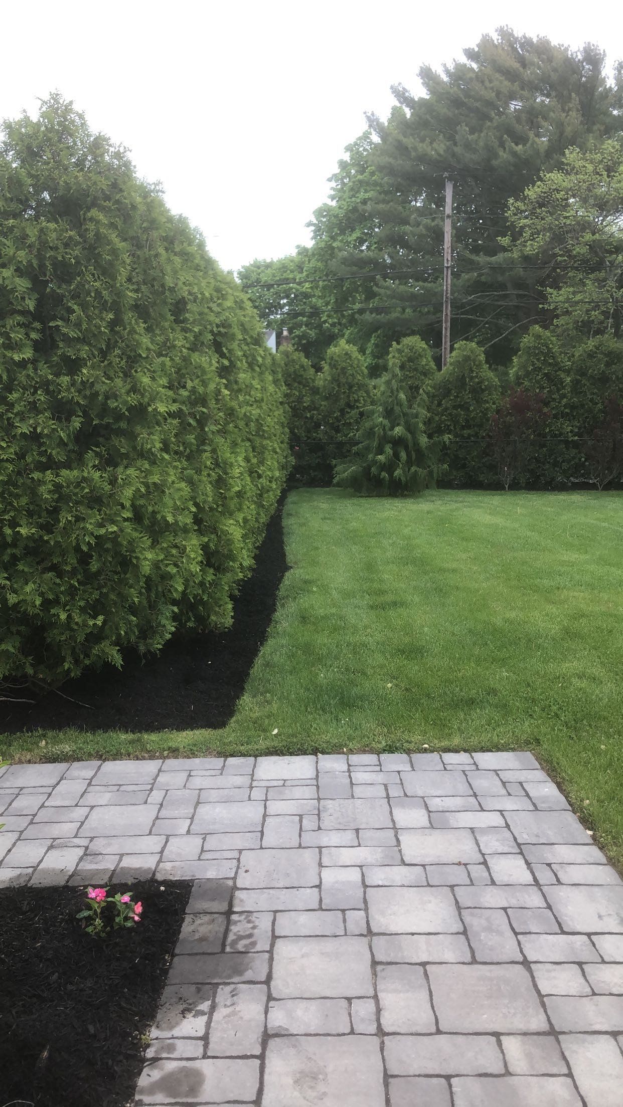 A brick walkway leading to a lush green lawn with trees in the background.