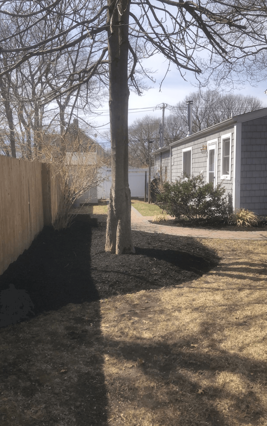 There is a house in the background and a tree in the foreground.