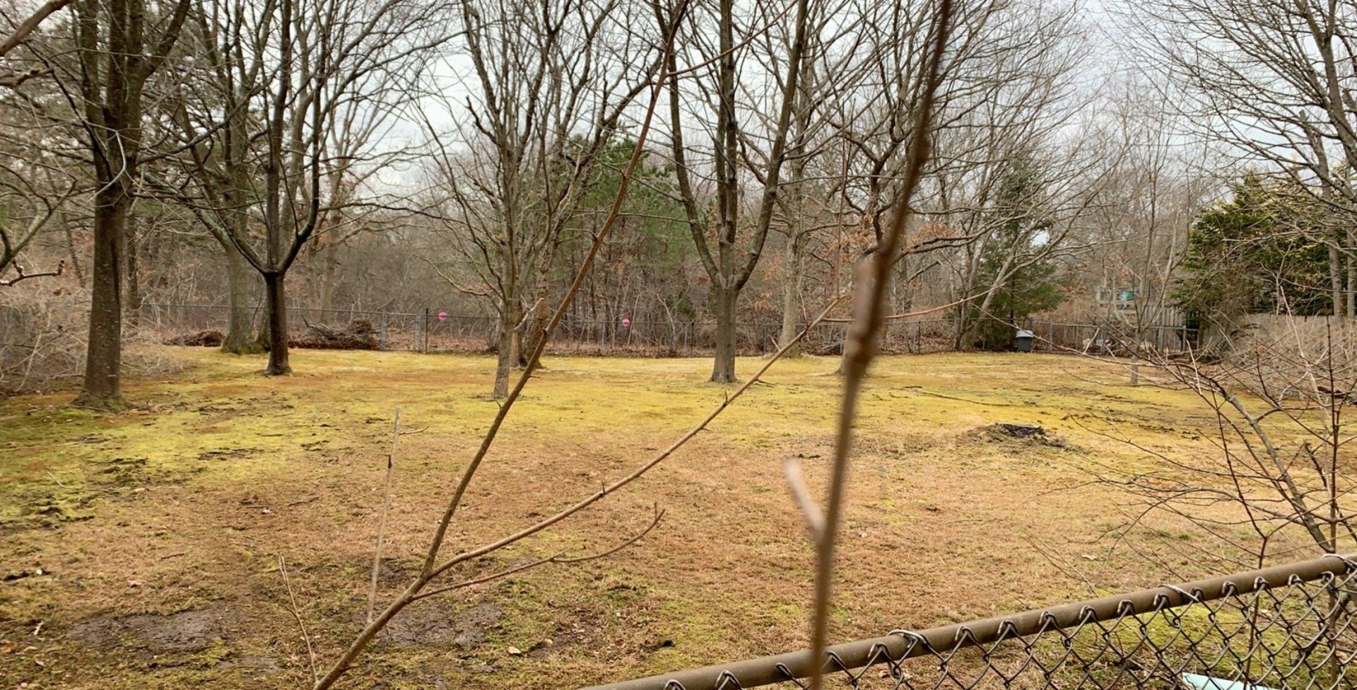 A field with trees in the background and a fence in the foreground.