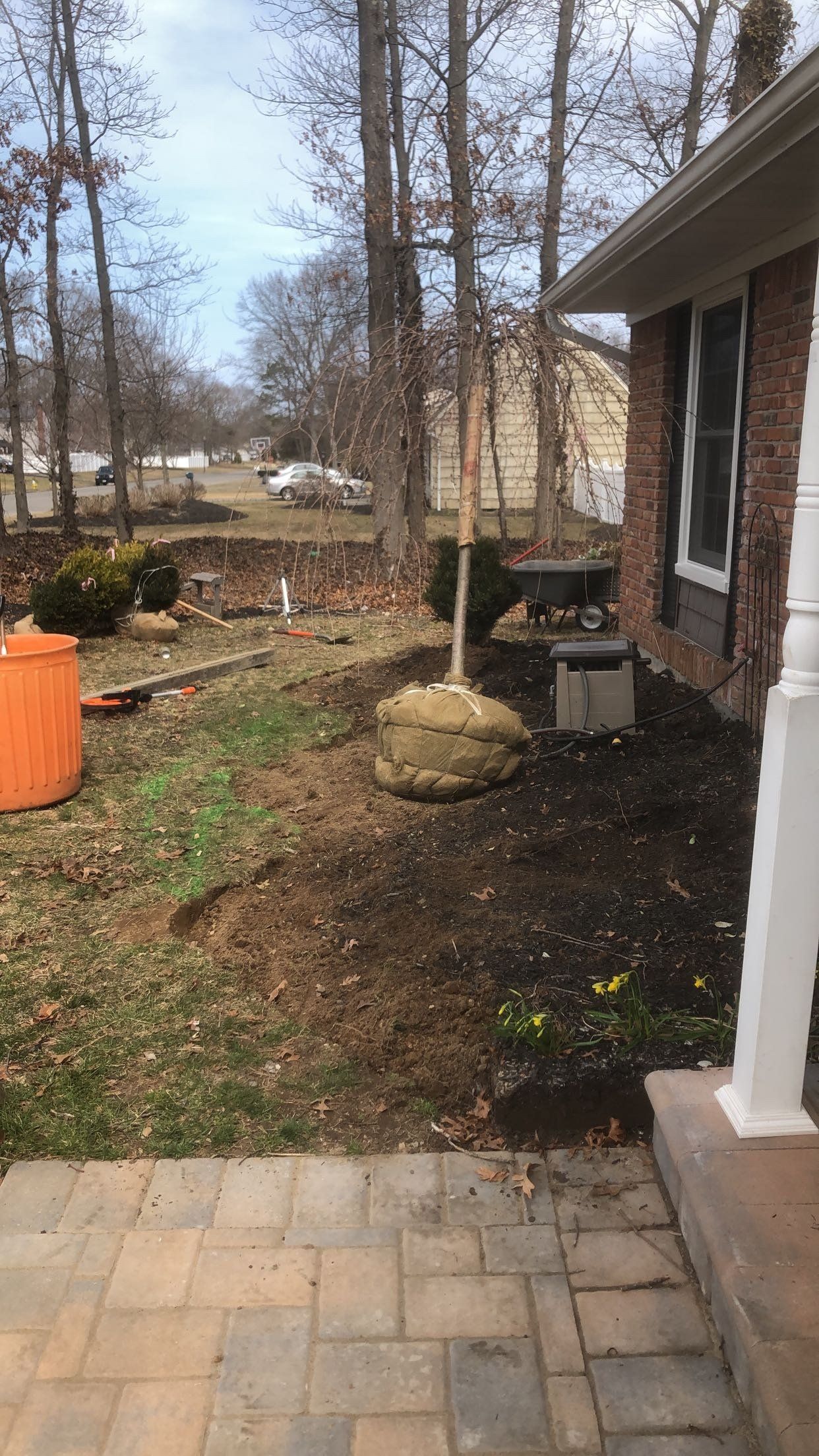 A tree is being planted in the backyard of a house.