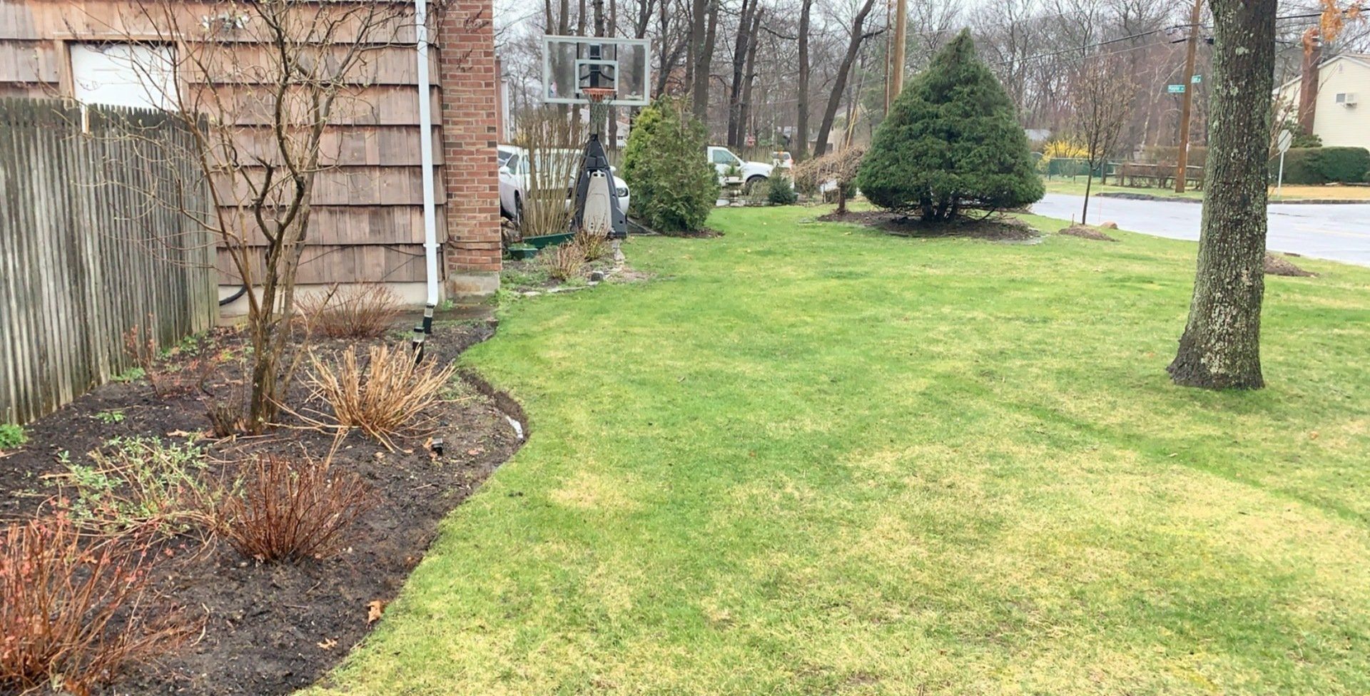 A lush green yard with a fence and trees in front of a house.