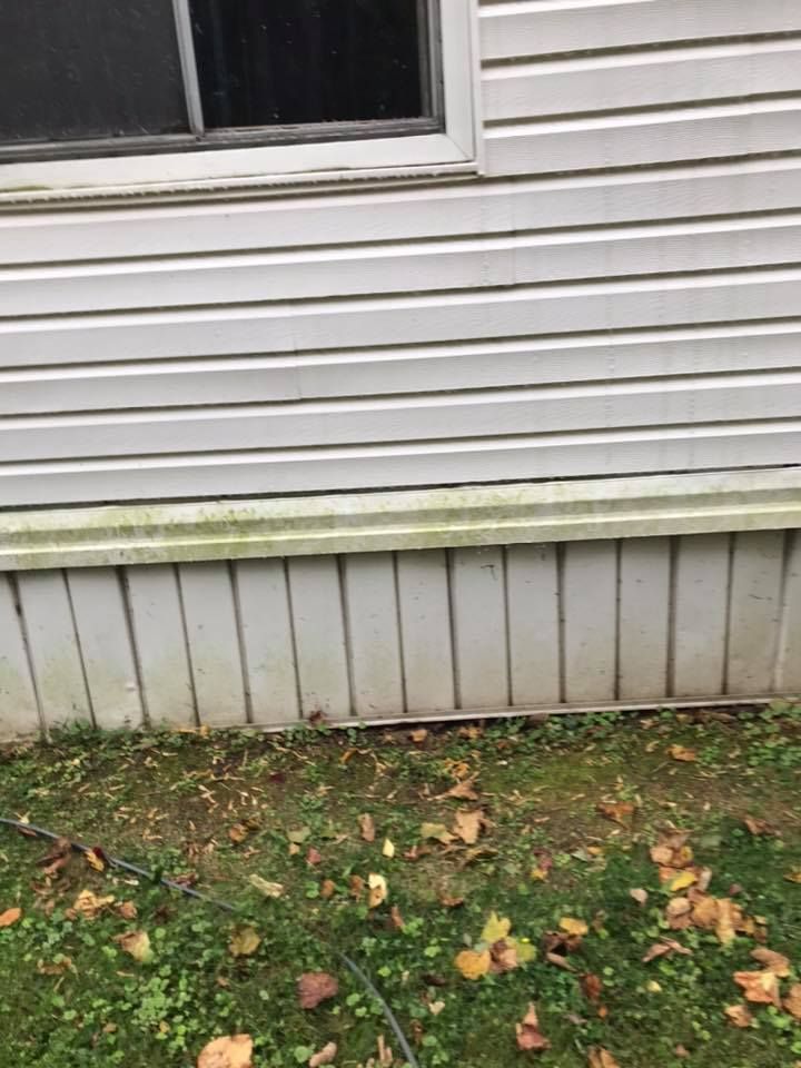 A white house with a green stain on the side of it.