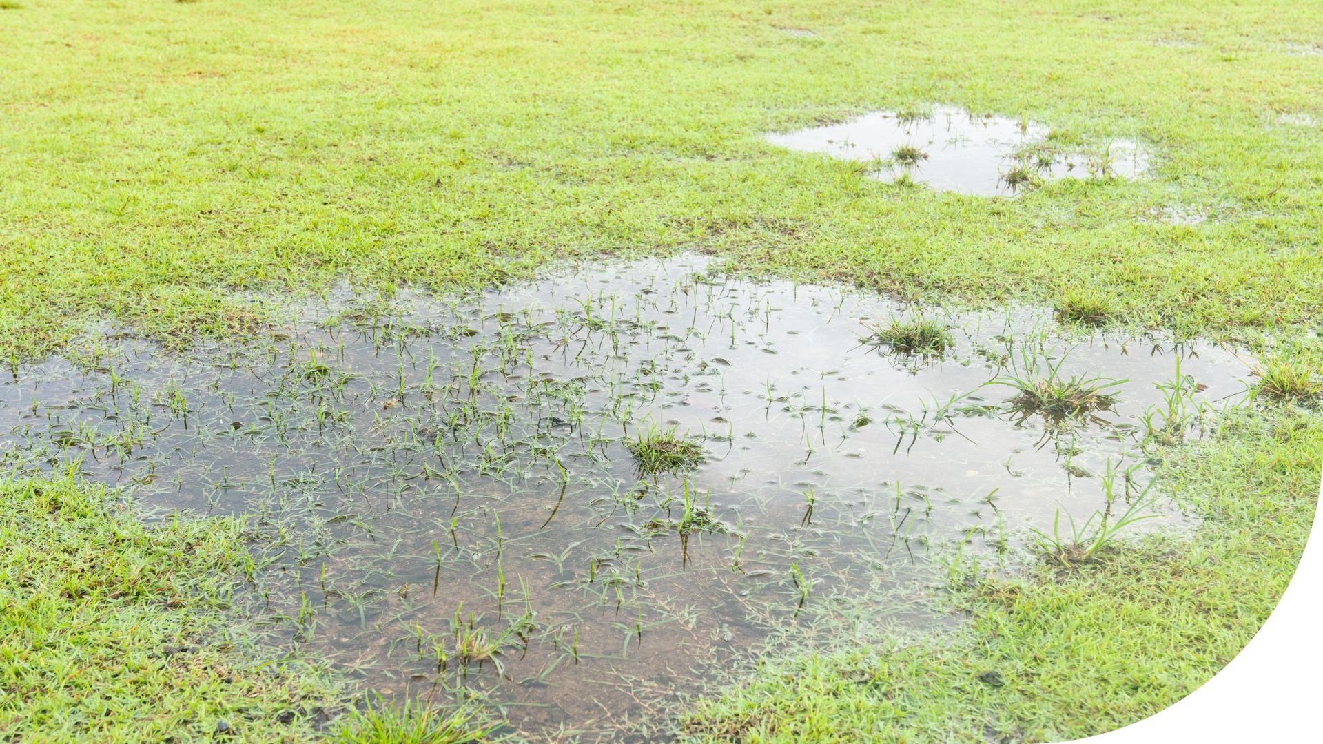 fix spring yard problems