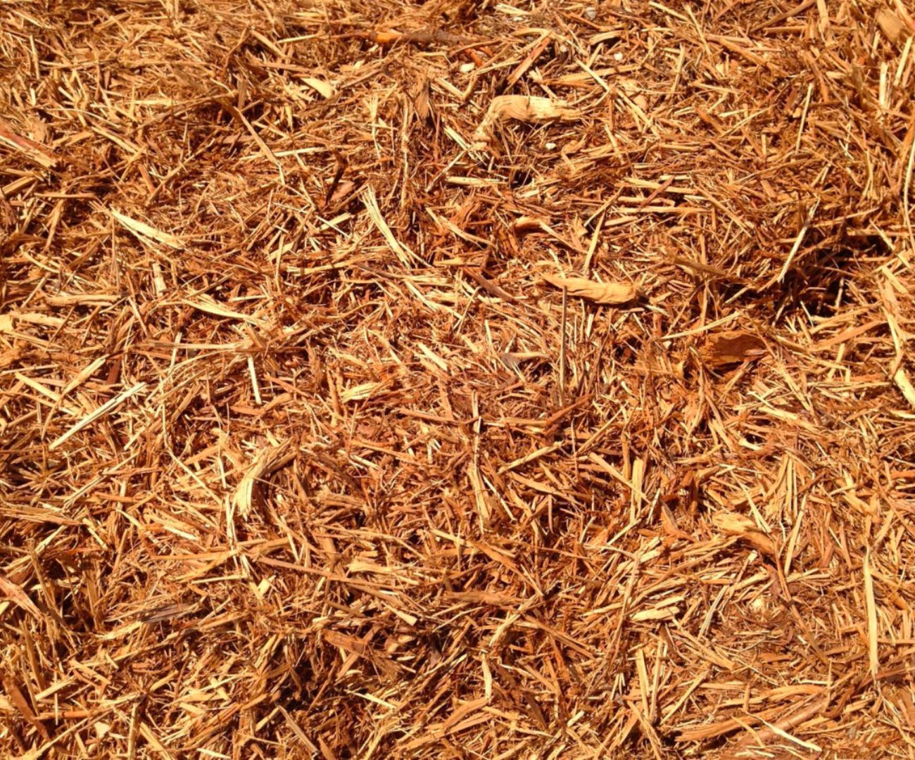 Cedar Mulch