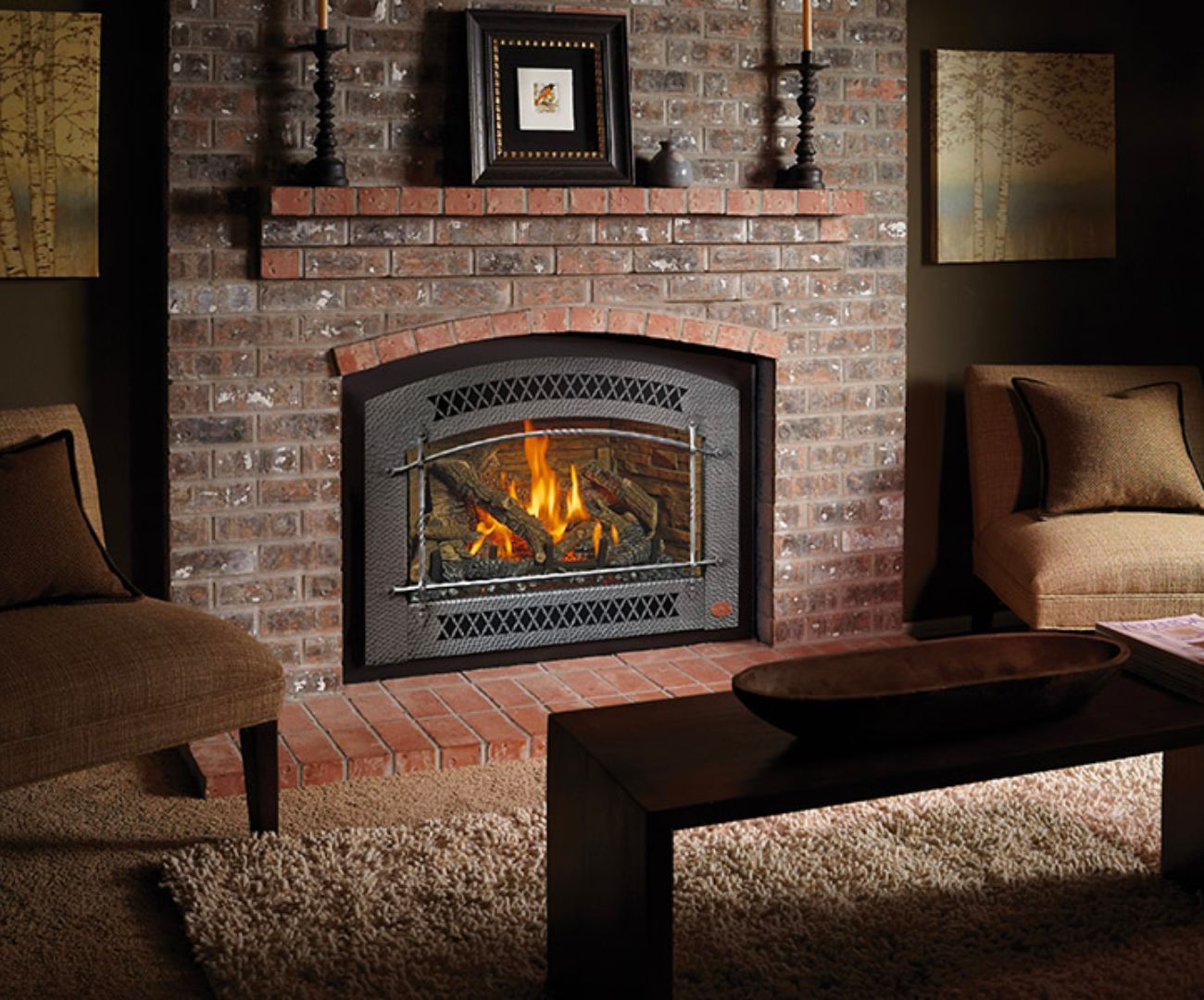 Fireplaces & Stoves - Oshkosh WI