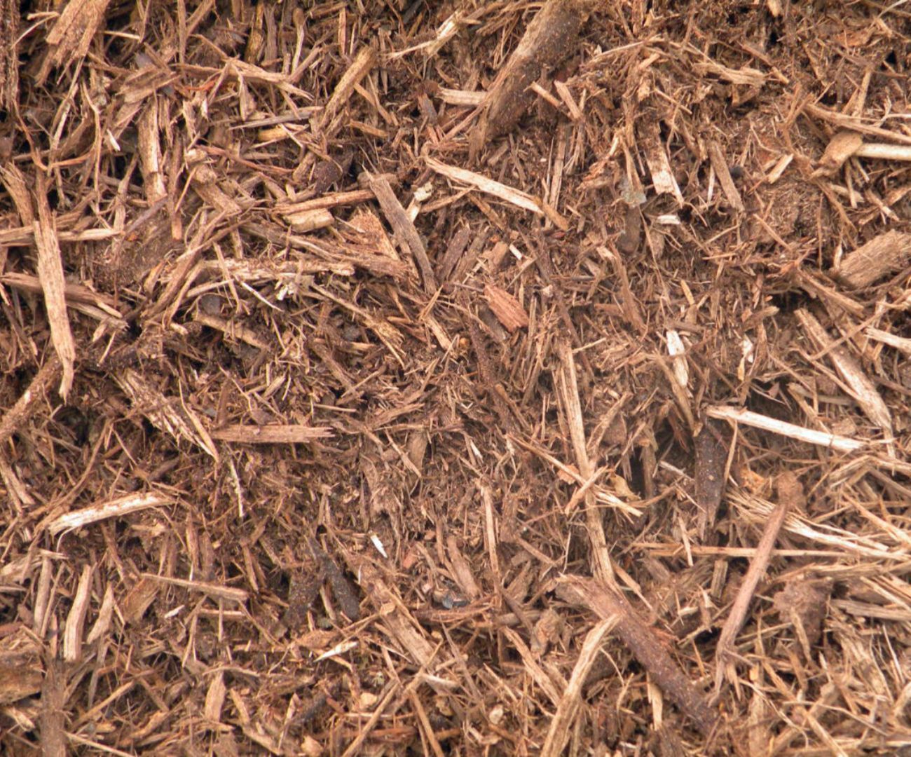 Shredded Hardwood