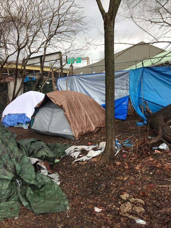 A group of tents are sitting in the dirt next to a tree.