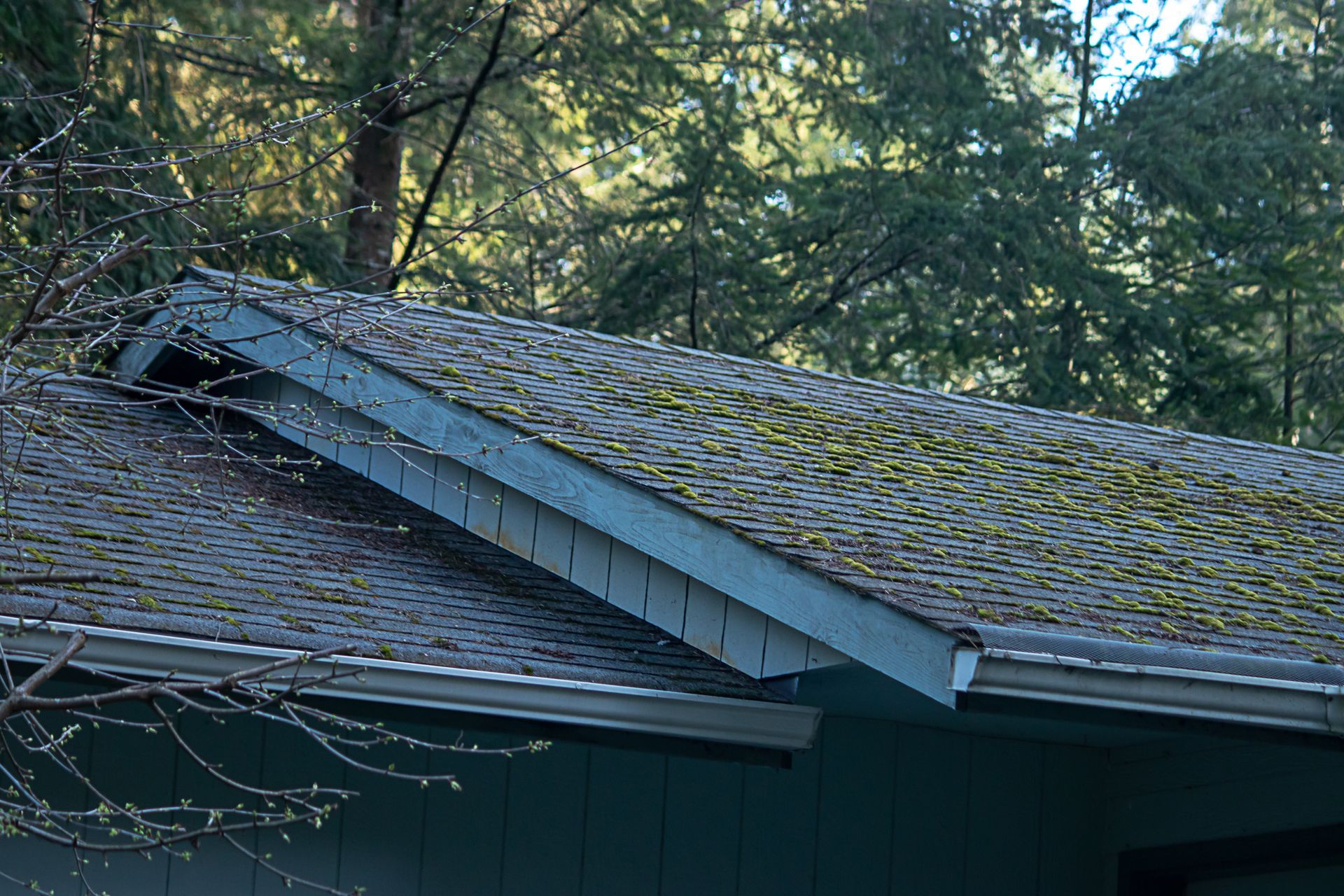 signs of roof failure