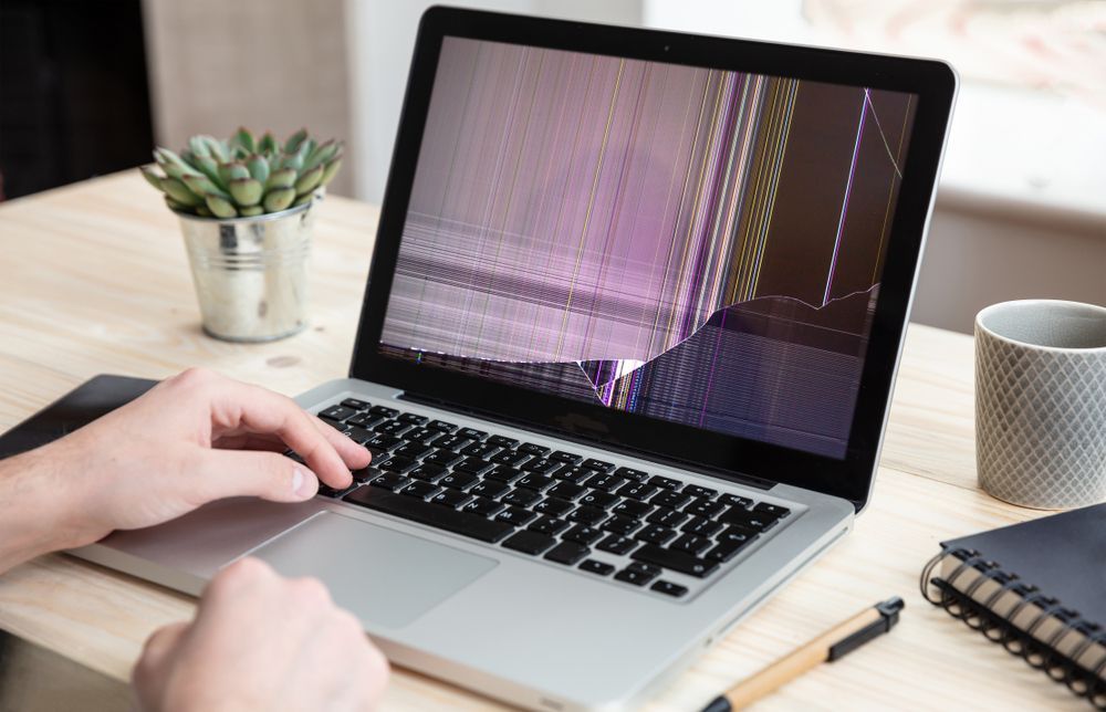 Person Using Laptop With a Broken Screen on a Wooden Desk With a Succulent — Tech Aid In Moffat Beach, QLD
