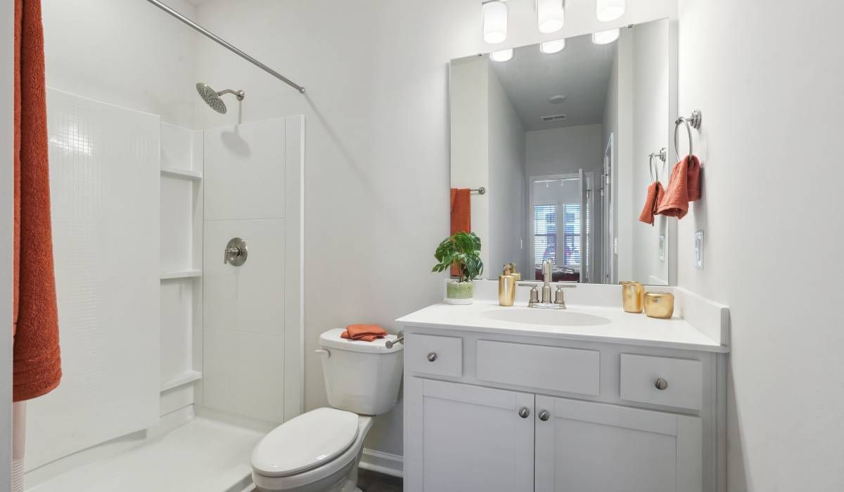 Bathroom with a toilet, large mirror and a bathtub at Reve Park Ridge in Little River, South Carolina