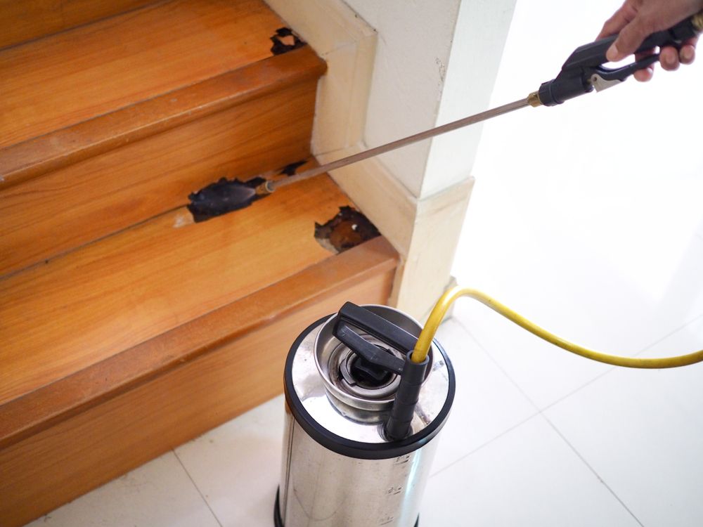 A Person Is Spraying A Rat On A Wooden Staircase With A Sprayer — ASAP Pest Control in Scenic Rim, QLD