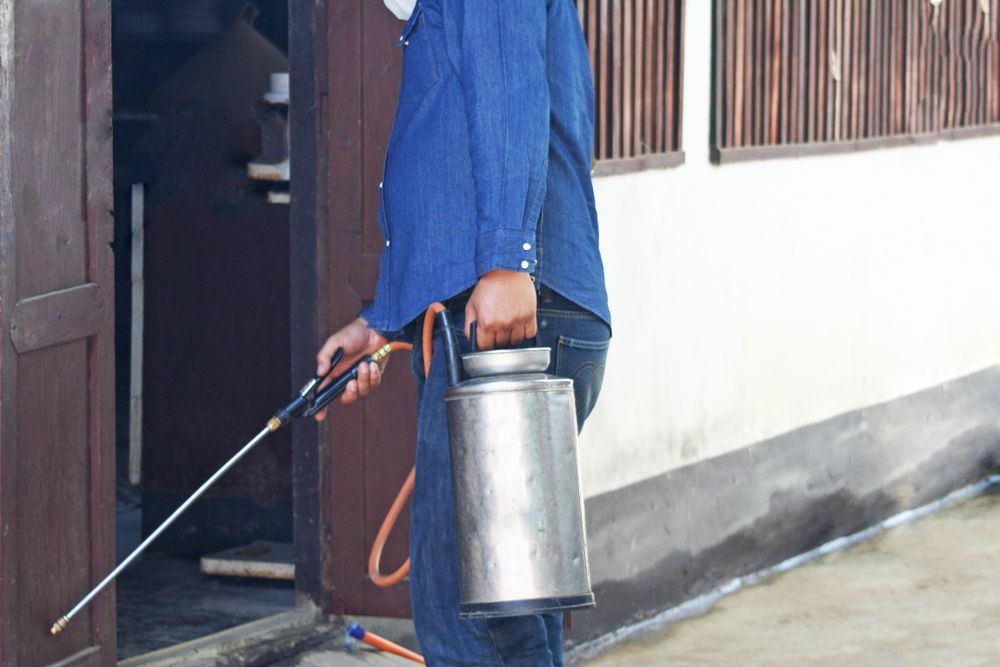 A Man Is Spraying A Building With A Sprayer — ASAP Pest Control in Tamborine, QLD