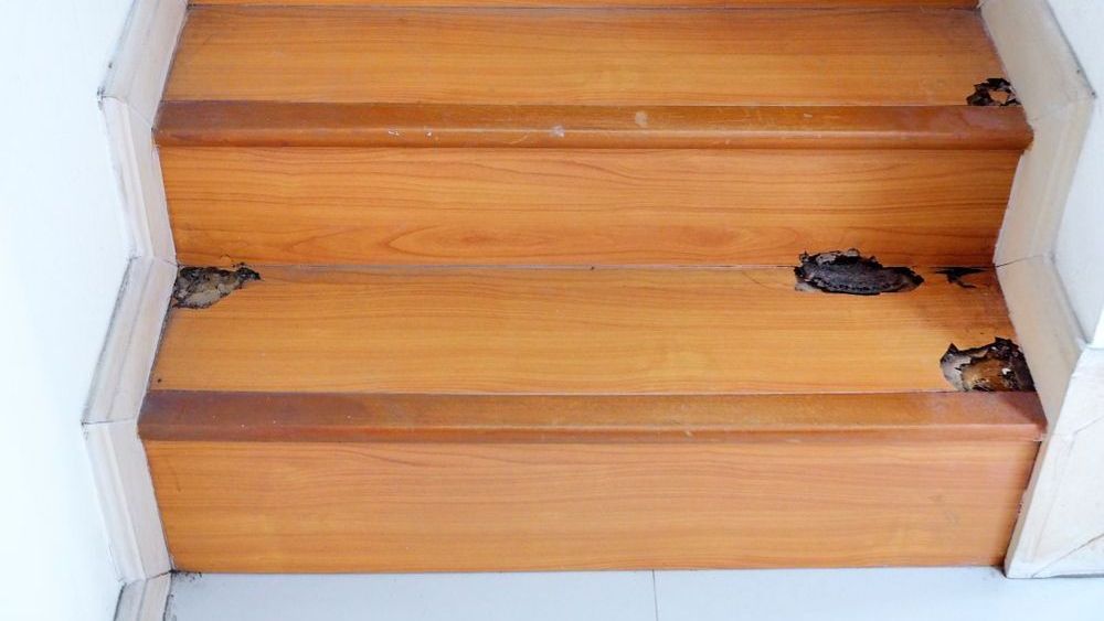 A Close Up Of A Wooden Staircase With A White Wall — ASAP Pest Control in Elanora, QLD