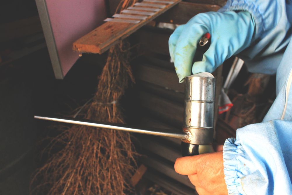 A Person Wearing Blue Gloves Is Holding A Metal Object — ASAP Pest Control in Booval, QLD