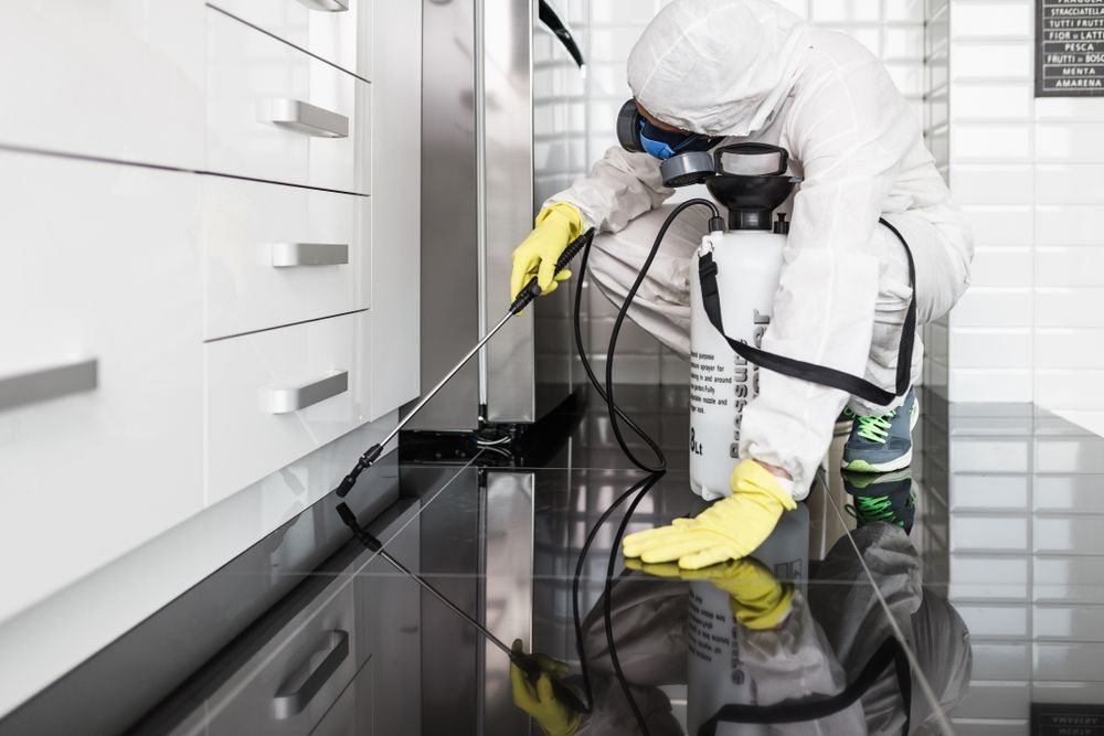 A Man In A Protective Suit Is Spraying A Kitchen Floor With A Sprayer — ASAP Pest Control in Booval, QLD