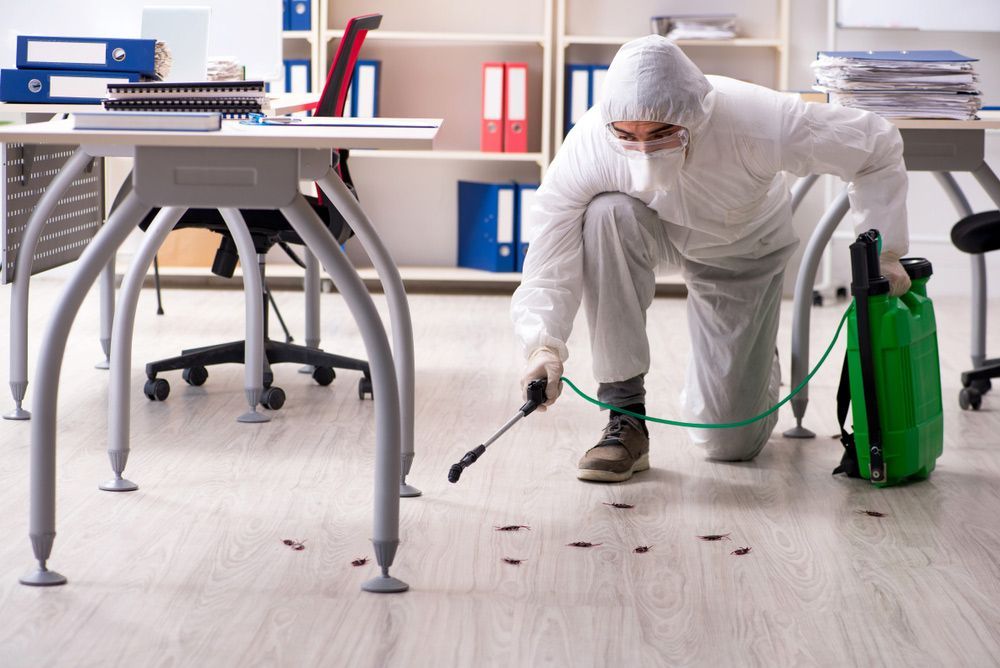 A Man In A Protective Suit Is Cleaning An Office With A Sprayer — ASAP Pest Control in Scenic Rim, QLD