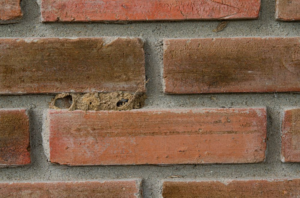 A Close Up Of A Brick Wall With A Hole In It — ASAP Pest Control in Drewvale, QLD