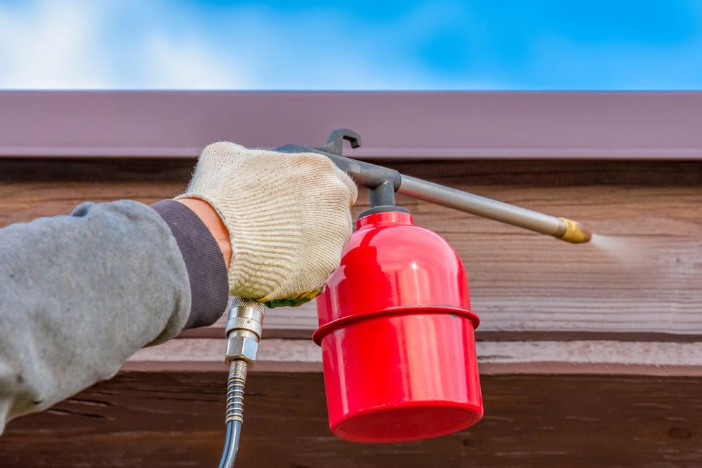 Additional Treatment Of Wooden Buildings With A Protective Coating Using A Spray Gun — ASAP Pest Control in Logan, QLD