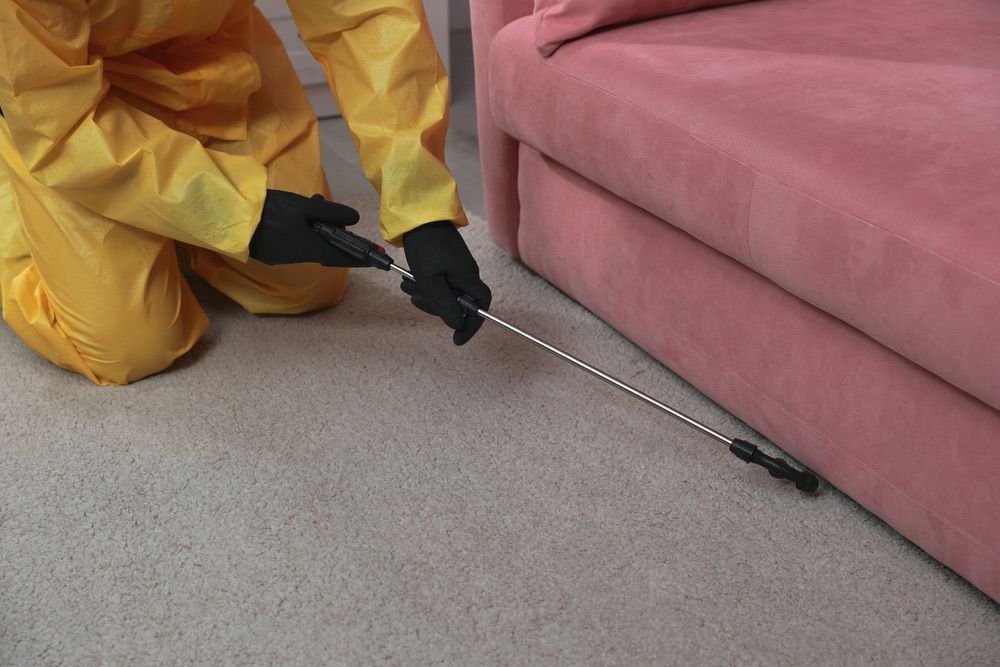 A Person In A Yellow Suit Is Spraying A Pink Couch With A Sprayer — ASAP Pest Control in Wacol, QLD