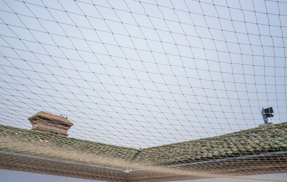 A Bird Net Is Hanging From The Ceiling Of A Building — ASAP Pest Control in Logan, QLD