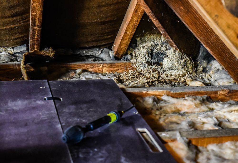 A Screwdriver Is Sitting On The Floor Of An Attic — ASAP Pest Control in Archerfield, QLD