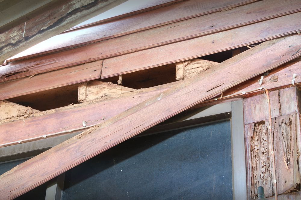 A Close Up Of A Wooden Structure With A Hole In It — ASAP Pest Control in Benowa, QLD