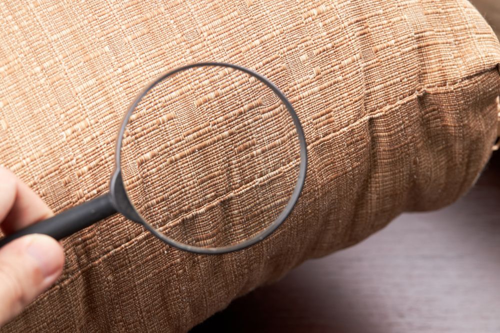 A Person Is Holding A Magnifying Glass Over A Pillow — ASAP Pest Control in Mount Gravatt, QLD