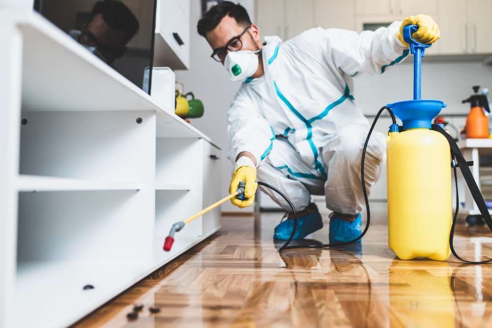 A Man In A Protective Suit Is Spraying Insecticide In A Living Room — ASAP Pest Control In Surfers Paradise, QLD