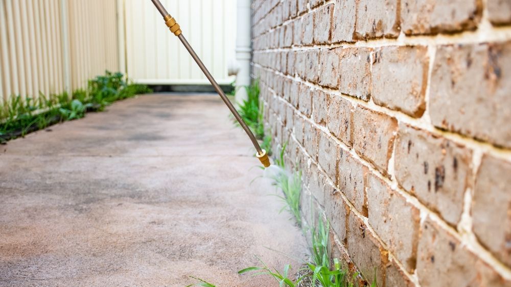 A Person Is Spraying Weeds On A Brick Wall With A Sprayer — ASAP Pest Control In Brisbane, QLD