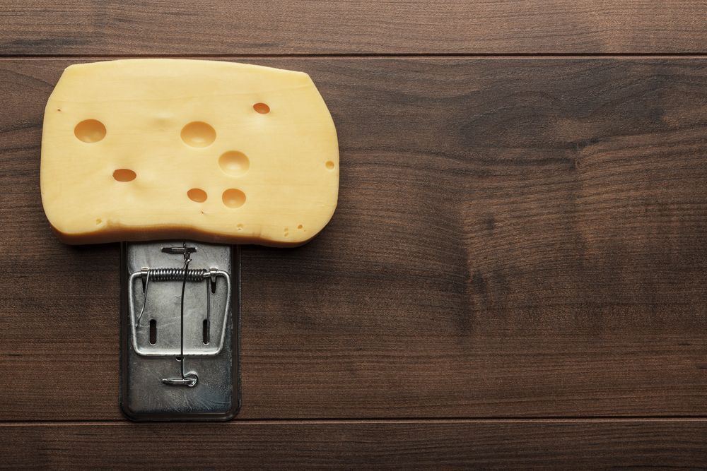 A Piece Of Cheese Is Sticking Out Of A Mousetrap On A Wooden Table — ASAP Pest Control in Acacia Ridge, QLD