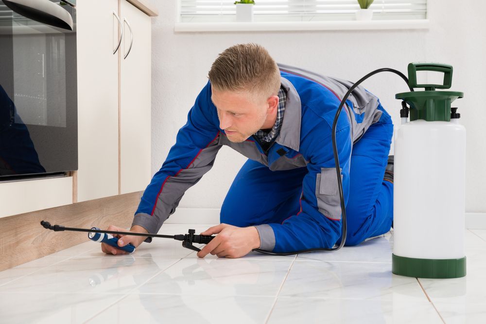 A Man Is Kneeling On The Floor In A Kitchen With A Sprayer  — ASAP Pest Control in Bundall, QLD