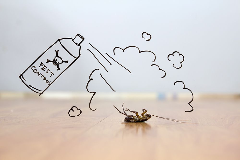 A Drawing Of A Spray Bottle And A Cockroach On A Wooden Floor — ASAP Pest Control in Elanora, QLD