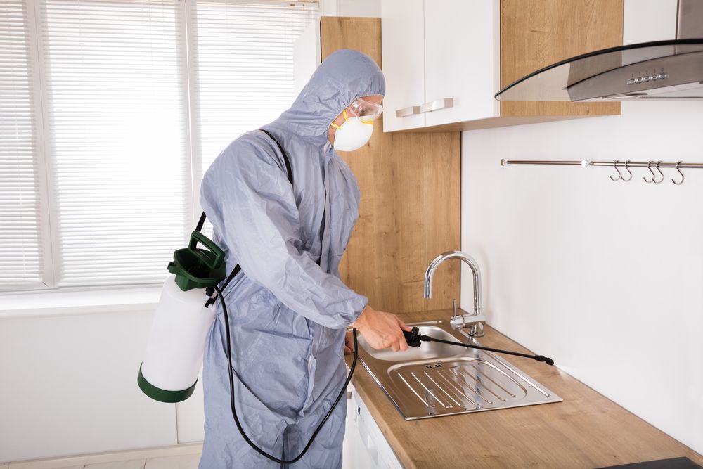 A Man In A Protective Suit Is Spraying A Kitchen Sink With A Sprayer — ASAP Pest Control in Booval, QLD