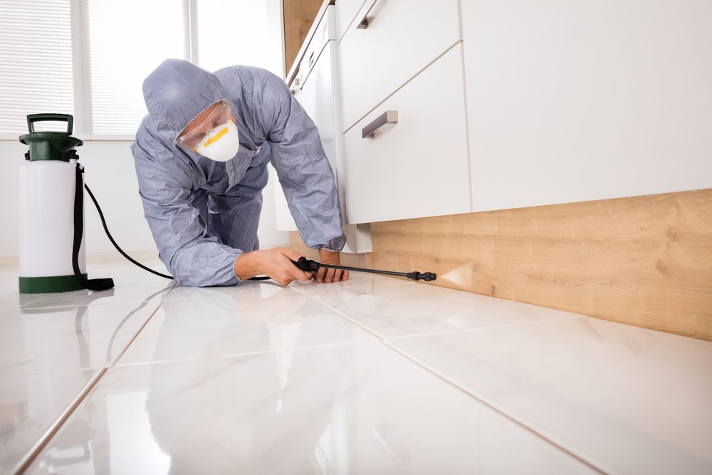 A Man In A Protective Suit Is Spraying A Wooden Floor With A Sprayer — ASAP Pest Control in Coomera, QLD