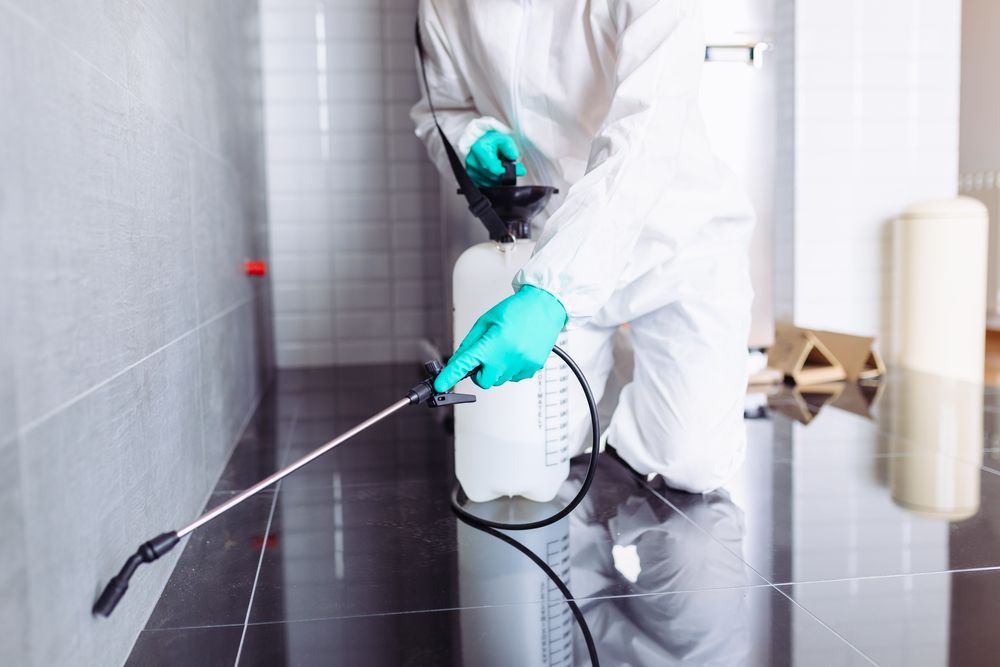 A Man In A Protective Suit Is Spraying A Wall With A Sprayer — ASAP Pest Control in Nerang, QLD