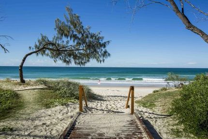 A Wooden Walkway Leading To A Beach With A Tree — ASAP Pest Control in Logan, QLD