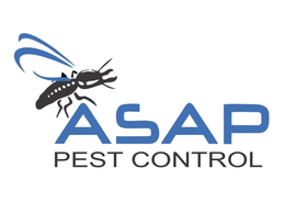 ASAP Pest Control: Providing Quality Pest Control Services in South East QLD