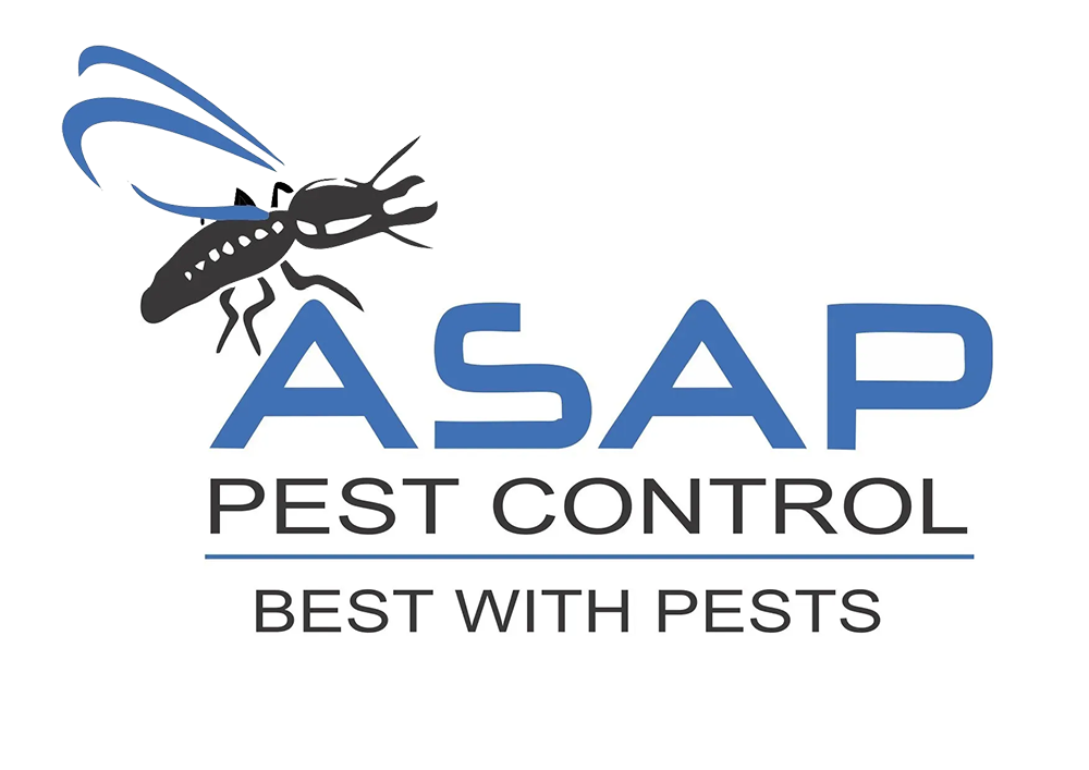 ASAP Pest Control: Providing Quality Pest Control Services in South East QLD