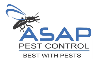 ASAP Pest Control: Providing Quality Pest Control Services in South East QLD